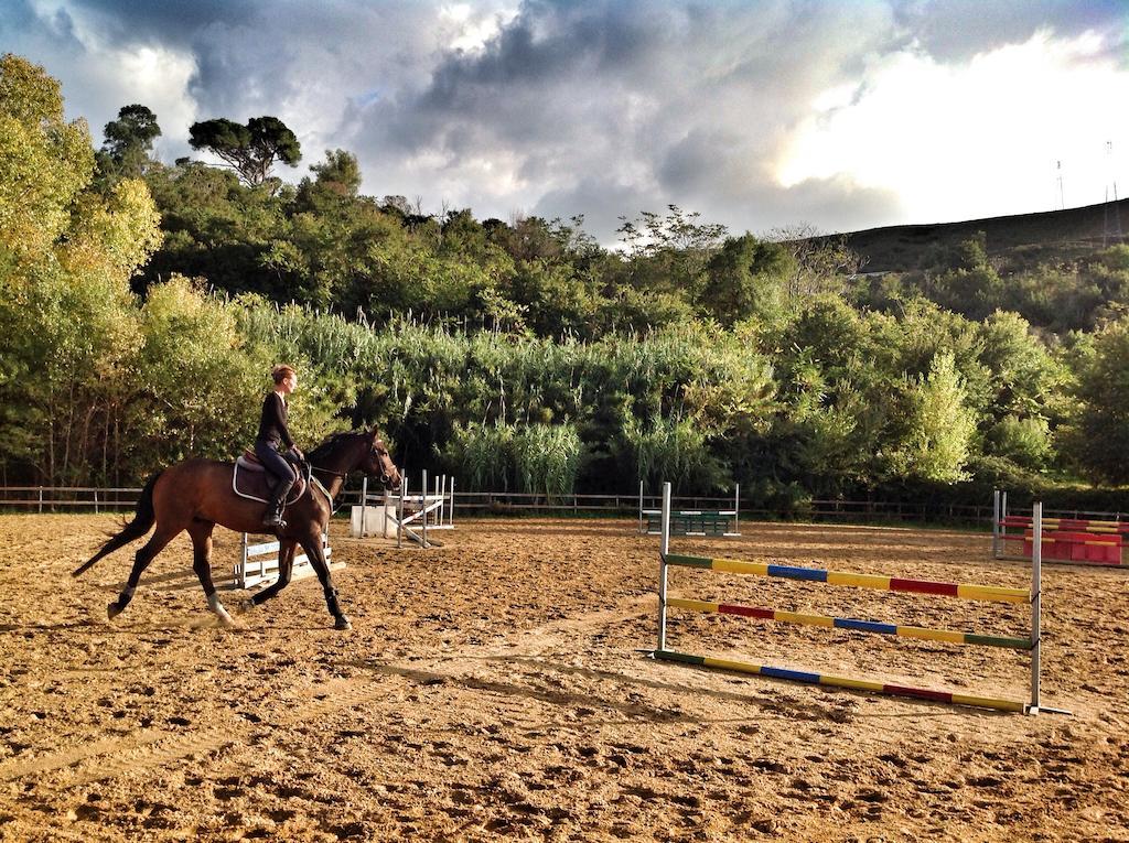 Alojamento de Turismo Rural Ridocco Corleone